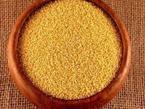 Foxtail Millet