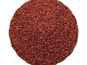 Finger Millet