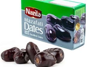 Nazila Mazafati Dates