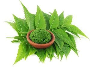 Neem Powder